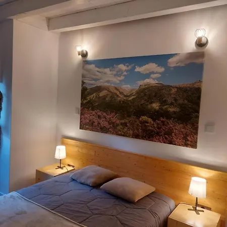 Casa Pinhao De Sousa * Vieira do Minho